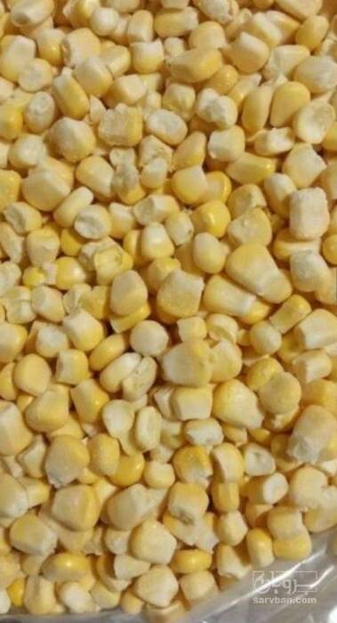 فروش ذرت منجمد شیرین