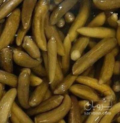 فروش خیار شور سوپر فیکس