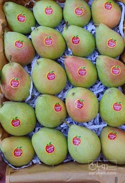 فروش گلابی بیروتی