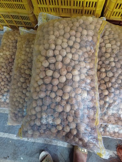 فروش لیمو عمانی - اسلایس (گیاه‌ دارویی)