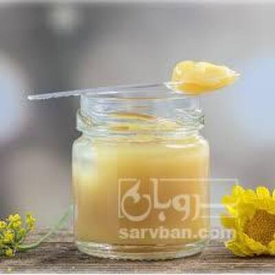 فروش ژل رویال