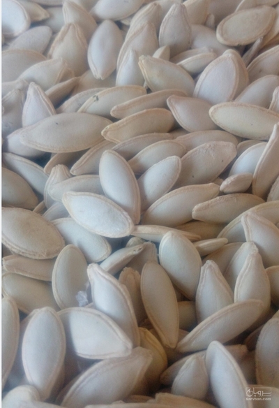 فروش تخمه  کدو خام