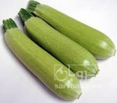 فروش کدو  سبز