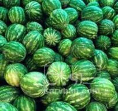 فروش هندوانه گرد