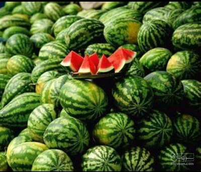 فروش هندوانه