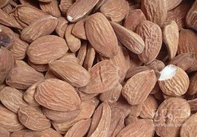 فروش مغز بادام