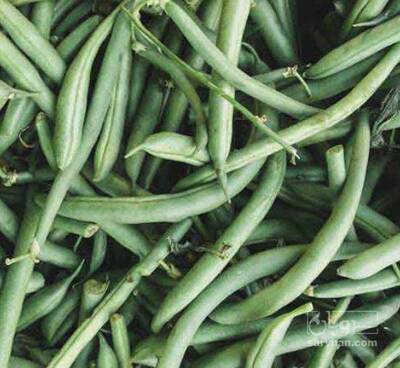 فروش لوبیا سبز