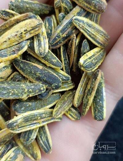 فروش انوع تخمه آفتابگردان