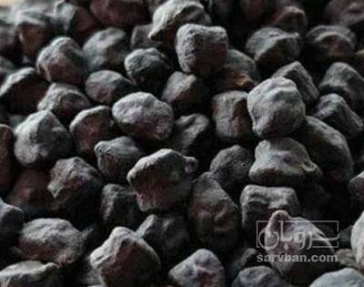 فروش نخود سیاه
