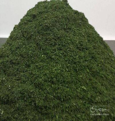 فروش شوید خشک