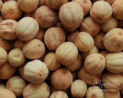 فروش لیمو عمانی