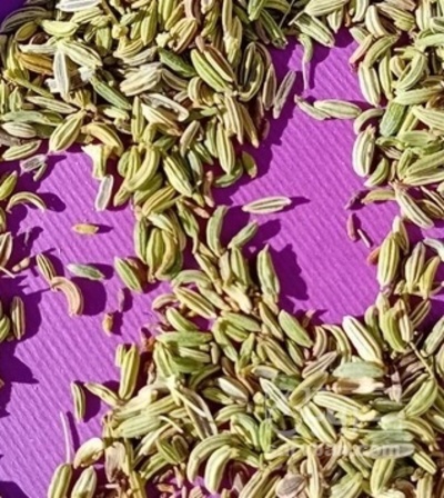 فروش رازیانه (گیاه‌ دارویی)