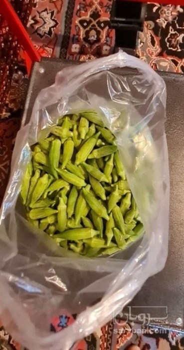 فروش بامیه