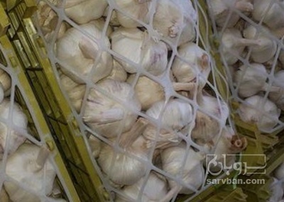 فروش سیر سبدی