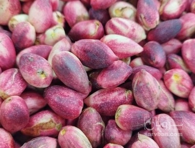 فروش پسته خام