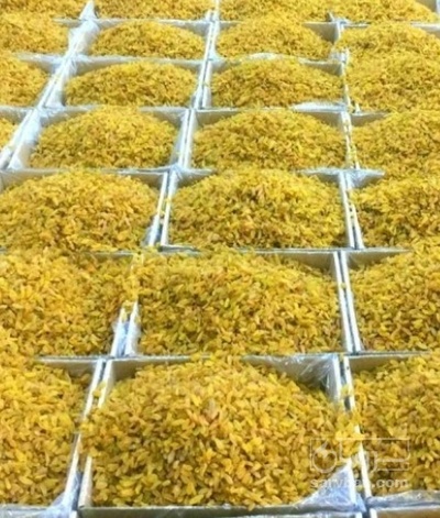 فروش کشمش طلایی قلمی