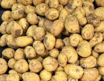 فروش سیب زمینی اسپریت صادراتی