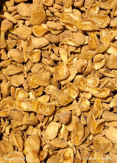 فروش برگه زردآلو