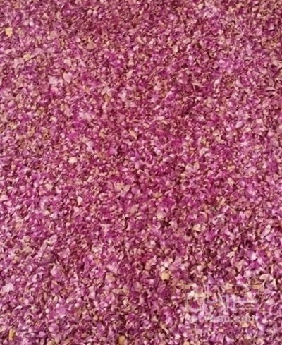 فروش گل محمدی