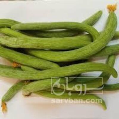 فروش خیارچنبر