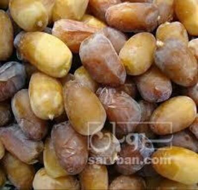 فروش خرما رطبی