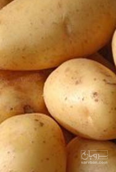 فروش سیب زمینی