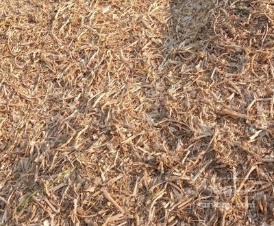 فروش کاه سیر