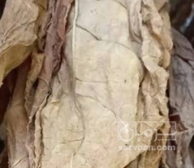 فروش توتون