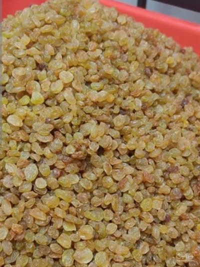 فروش کشمش