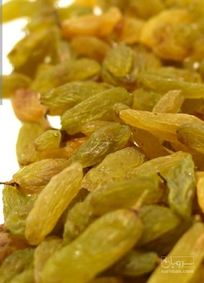 فروش کشمش سبز