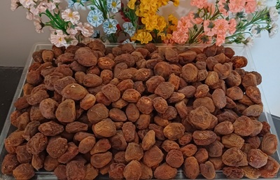 فروش زردآلو خشک تازه(امسال خشک شده)