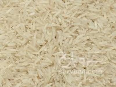 فروش برنج صدری