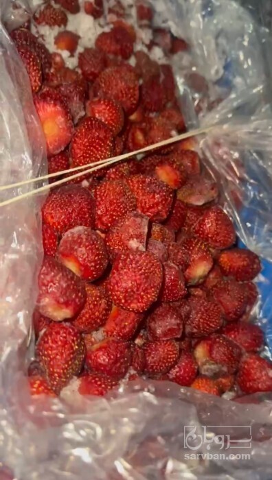 فروش توت فرنگی