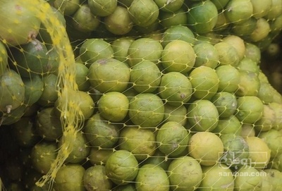 فروش لیموترش جهرم