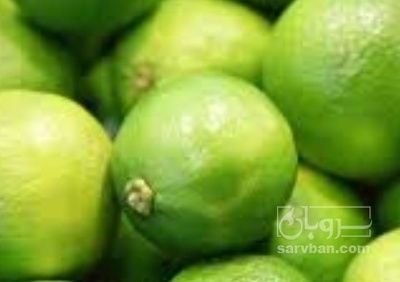 فروش لیمو ترش