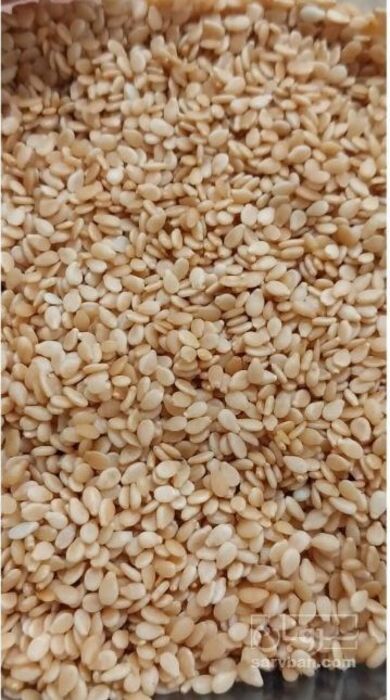 فروش کنجد سفید