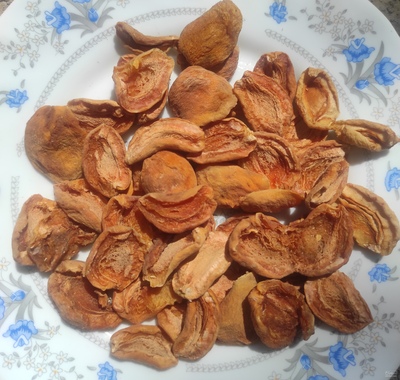 فروش برگه زردآلو