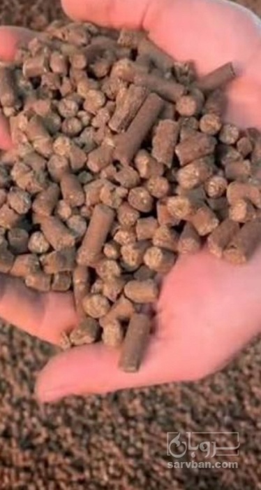 فروش کنجاله  کلزا