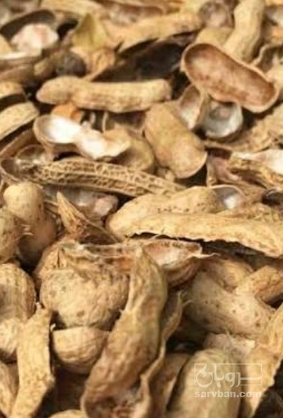 فروش پوست بادام -  زمینی