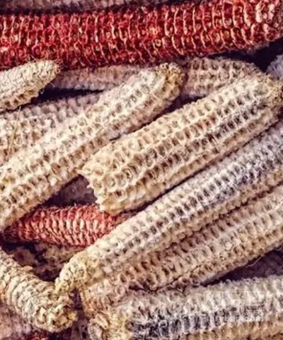 فروش  چوب ذرت علوفه ای