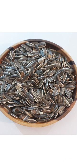 فروش آفتابگردان کانادایی