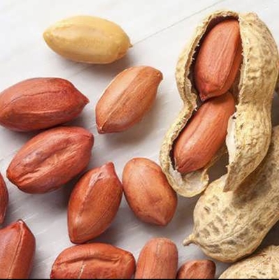 فروش بادام زمینی