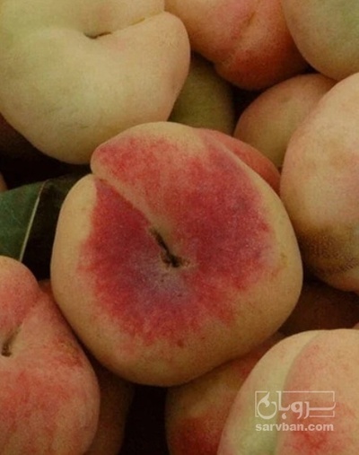 فروش هلو انجیری