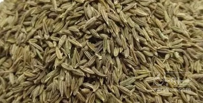 فروش زیره سبز