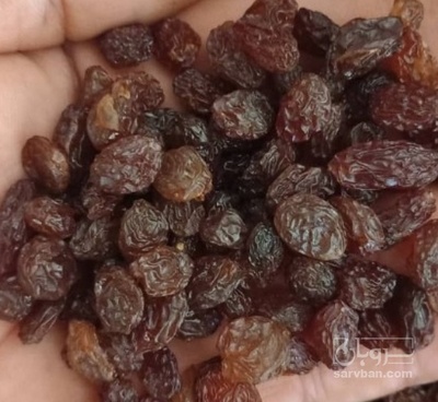 فروش کشمش پلویی