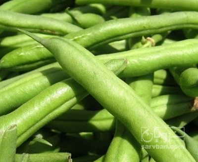 فروش لوبیا سبز