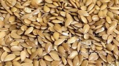 فروش تخم کتان