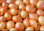 فروش پیاز زرد
