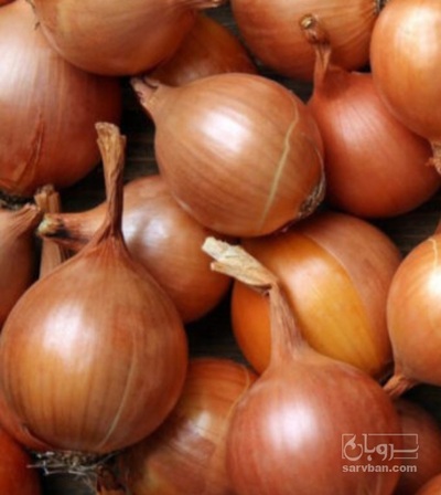 فروش پیاز طلایی