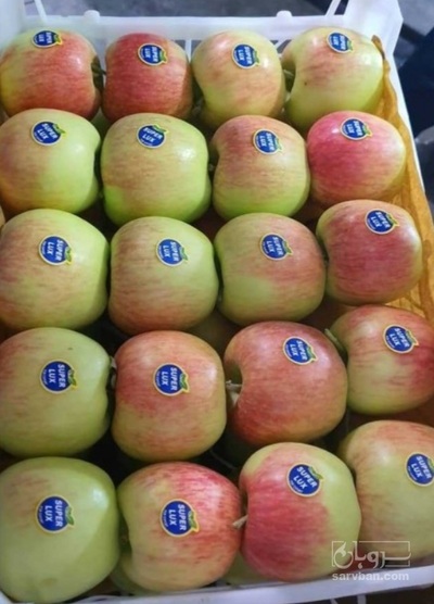 فروش سیب دورنگ فرانسوی